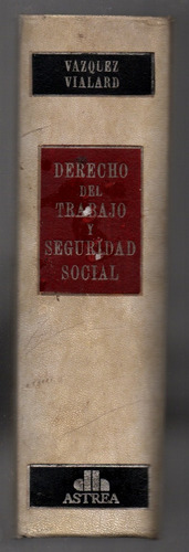 Derecho Del Trabajo Y Seguridad Social A. Vazquez Vialard
