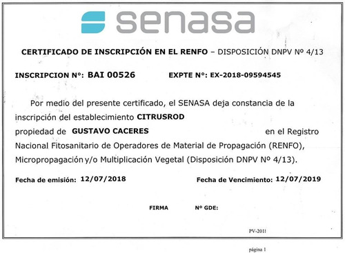 Imagen 4 de 10 de Arbol Ceibo 5 Años - 1.8 Mts. Excelente !! E.grtais Caba-gba
