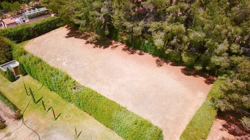 Lote Con Casa Y Viñedo En Venta | San Miguel De Allende | Desarrollo Ecuestre