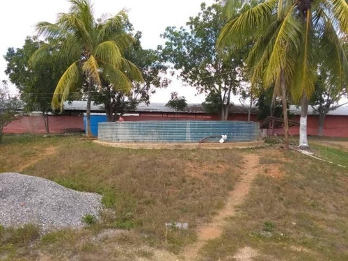 Imagen 19 de 30 de Jose Lopez Ofrece Finca ( Granja Avícola / Agrícola ) En Venta Vía A Duaca Caserio Guayabal Cordero Lara, Venezuela ,j G L Rent - A - House Telf. 0414-5533925 Cod # 22-16836 $ 15000