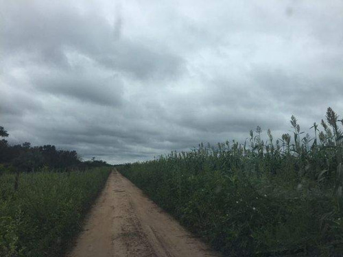 Imagen 15 de 18 de Venta Campo En Santiago Del Estero, Norte De Monte Quemado