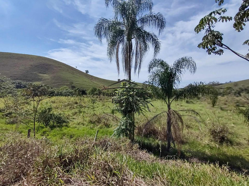 Imagem 2 de 28 de Terreno À Venda No Bairro Pilões - Guaratinguetá/sp - Tr009
