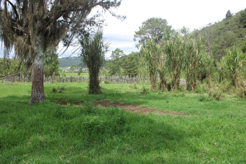 Hermoso Terreno En Venta En Una De Las Zonas Mas Solicitadas En República Dominicana La Joya Que Es Constanza