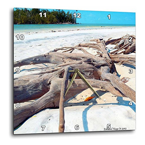 Driftwood On The Beaches In The Everglades - Reloj De P...