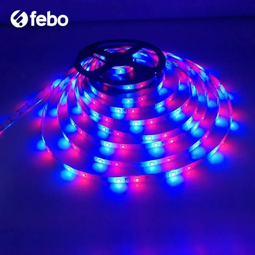 Imagen 6 de 8 de Cinta Tira Luces Led Rgb 5m 3528 C/ Transformador + Control