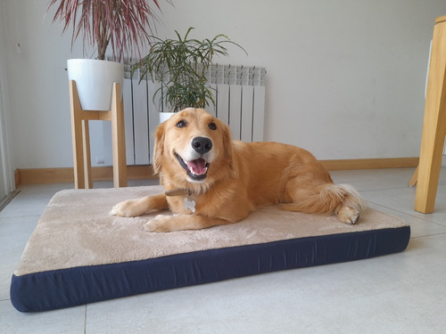 Imagen 2 de 8 de Cama Colchoneta Para Perros Medianos Lola Pets Alaska 75x50