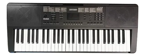 Organo Teclado Piano De 54 Teclas 5 Octavas Principiante