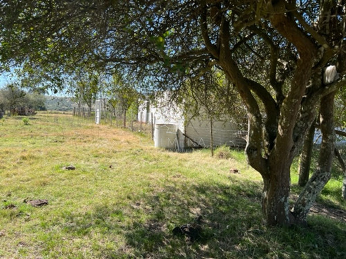 Imagen 22 de 30 de Campo 10 Has Y Media Con Casa Y Manantial Con Agua Permante. Consulte!!!!!!!!! - Zona Rural Zona Rural