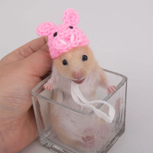 Gorro De Hámster Con Forma De Orejas De Conejo (9 #mold), Di