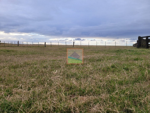 Imagen 18 de 30 de 532 Hectáreas Agrícolas Ganaderas Rocha