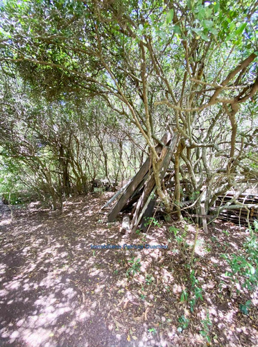 Chacra Oceánica Entre Cerros - Pirápolis