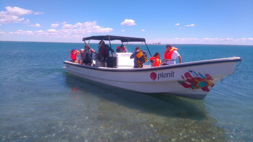 Tracker Romano Marine