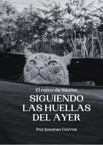 Libro: El Reino De Simón: Siguiendo Las Huellas Del Ayer (sp