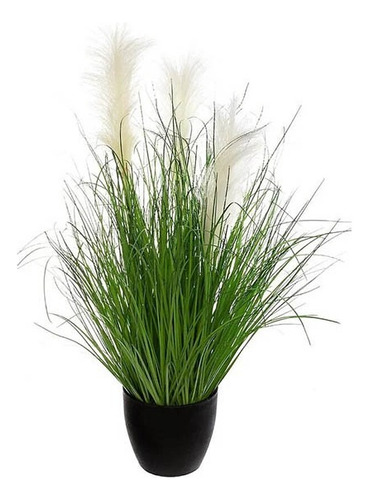 Sobre Para Sembrar 15 Plantas Decoractivas Pampa Grass