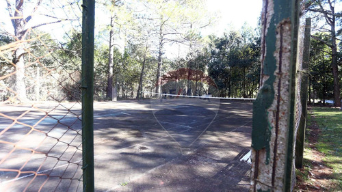 Imagen 19 de 30 de 3 Casas Quintas Sobre 4800 M2 En Las Lomas Ezeiza