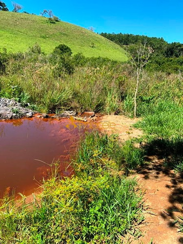 Imagem 12 de 16 de Rural Chacara - 234221-v