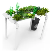 Comprar Sistema Hidropónico Horizontal 22 Plantas - Huerta + Insumos