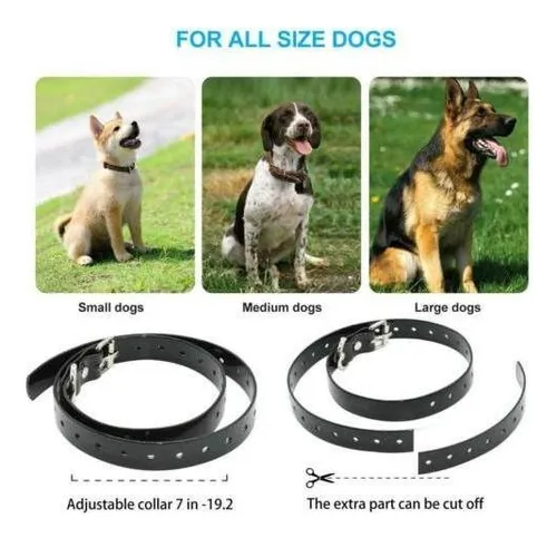 Un Juego De Choque Electrónico Para 2 Perros Collar De Entre