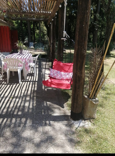 Imagen 6 de 24 de Isla Delta Tigre Con Pileta-alquiler Temporario