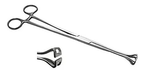 Pinza Babcock 23cm Instrumental Medico Hergom Premium