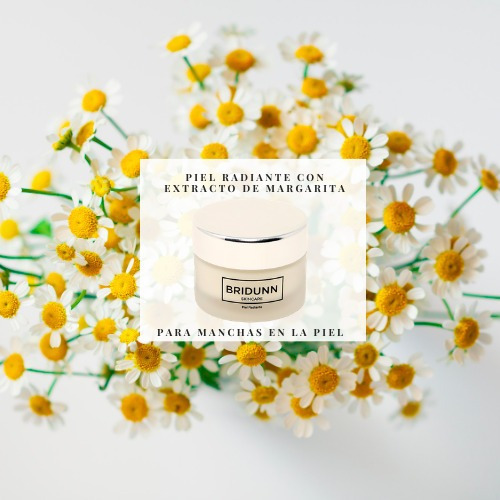 Imagen 6 de 9 de Crema Despigmentante Quita Manchas Y Paño Bridunn Skincare