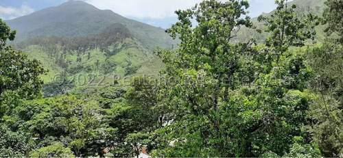 Imagen 18 de 29 de Apartamento En Venta Los Chorros