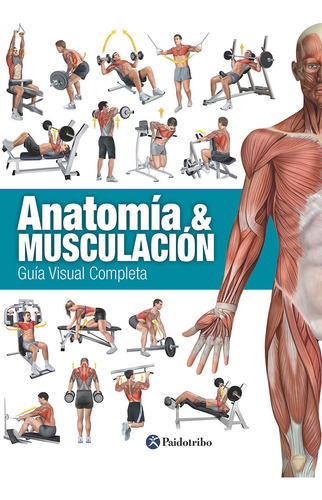 Anatomia Y Musculacion Guia Visual Completa - Cánovas Li...