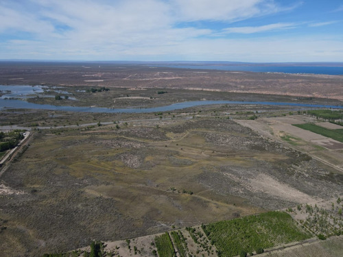 Imagen 3 de 6 de Lote Terreno En Añelo Neuquén