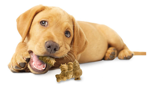 Chew Treats Nylabone, Comestibles Saludables Para Cachorros,