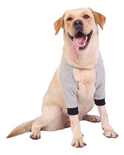 Rodilleras For Mascotas Coderas For Perros Espinilleras