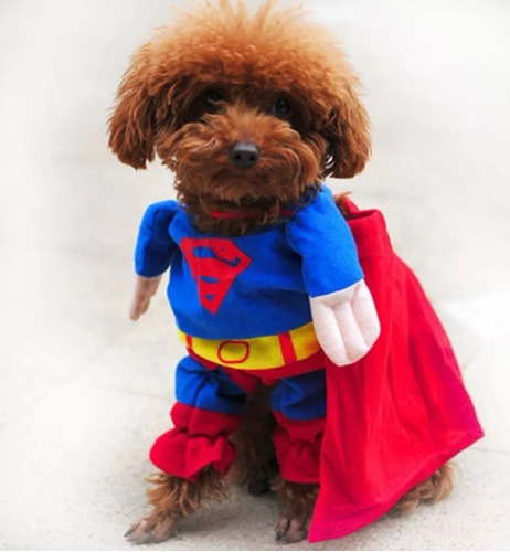 Disfraz Mascota Perro Gato Super Man Cosplay Halloween 