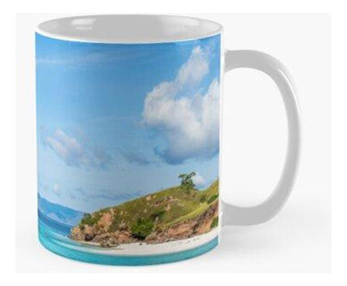 Taza Un Arrecife De Coral Y Una Estación De Limpieza De Mant