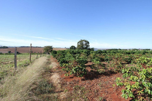 Imagem 14 de 30 de Sítio Com 4 Dormitórios À Venda, 35000 M² Por R$ 750.000,00 - Itaí - Itaí/sp - Si0090