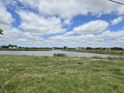 Venta Terreno En Campos De La Enriqueta
