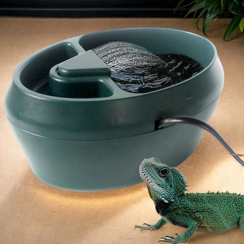 Fuente Para Beber Reptiles Plato De Agua Para Lagartos Fuent
