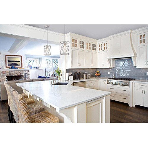 Westinghouse Lighting 6362300 Isadora De Una Sola Luz, Cepil