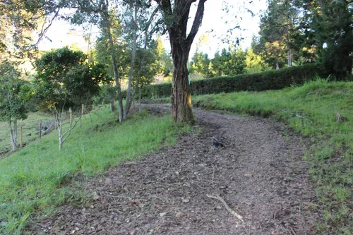 Finca En Venta En Vereda San José. Cod V12871