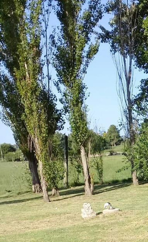 Imagen 26 de 30 de Se Vende Terreno De 15.700 M2, Con Dos Casas Y Base Para Galpon