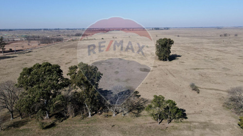 Imagen 11 de 13 de Campo 157 Hcts En Venta San Vicente P/desarrollo