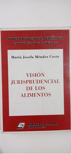 Visión Jurisprudencial De Los Alimentos Josefa Méndez 
