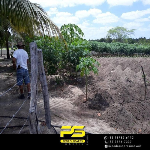 Imagem 16 de 20 de Sítio À Venda, 10000 M² Por R$ 740.000,00 - Centro - Sobrado/pb - Si0013