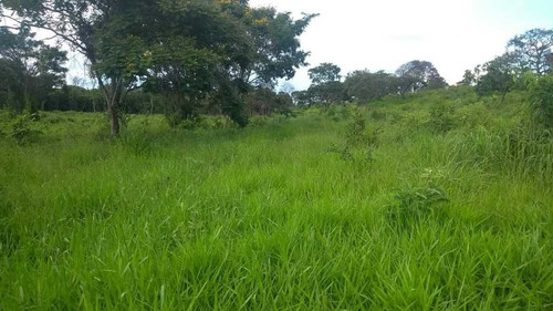 Imagem 6 de 30 de Fazenda De Gado E Graõ Com 455 Hectares Curvelo - 36426