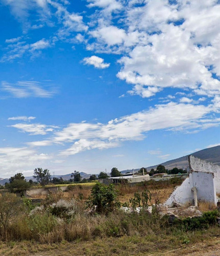 Terreno En Venta Sobre Carretera San Isidro Mazatepec 2 Has. Ideal Bodega/nave