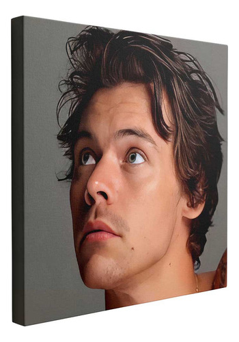 Cuadro Harry Styles, Mirada Que Hipnotiza 10x10