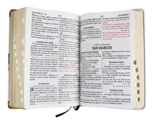 Imagen 5 de 5 de Biblia Rvr60 Letra Grande C/índice C/enciclopedia Ilustrada