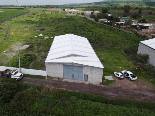 Bodega Industrial En Venta En San Javier, Irapuato, Guanajuato
