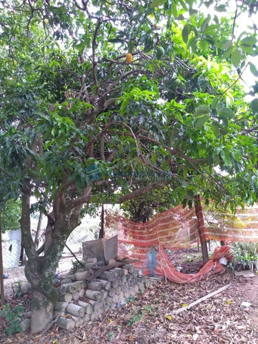 Chacara - Ch00131 - 69207544