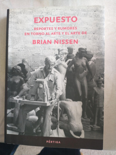 Expuesto Reportes Y Rumores En Torno Al Arte De Brian Nissen