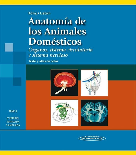 Anatomia De Los Animales Domesticos Tomo 2 Organos Sistema C