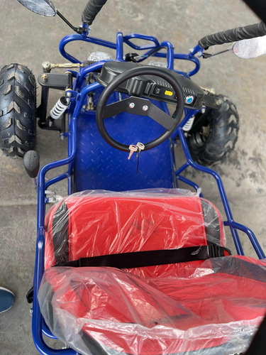 Arenero Go-kart 125 Cc
